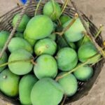 গোবিন্দভোগ আম ১২ কেজি